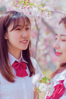 花与蛇在线观看